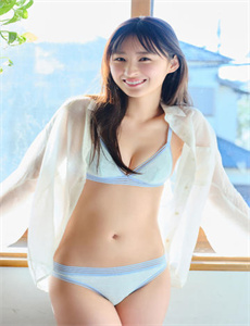 《大明锦衣卫2》